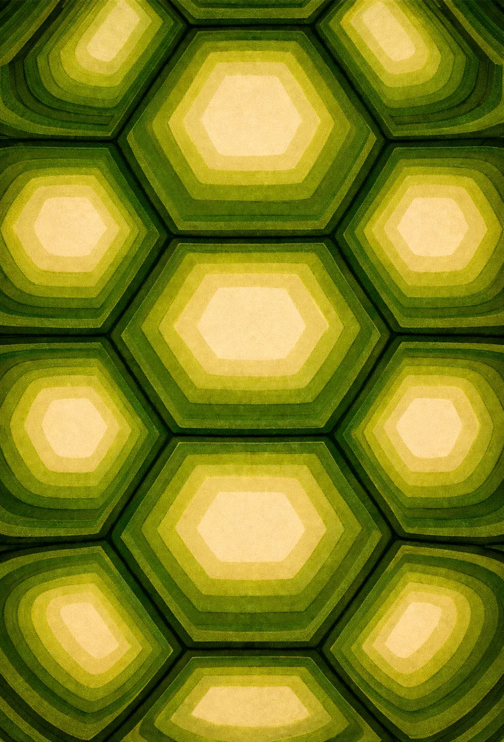 Tortuga